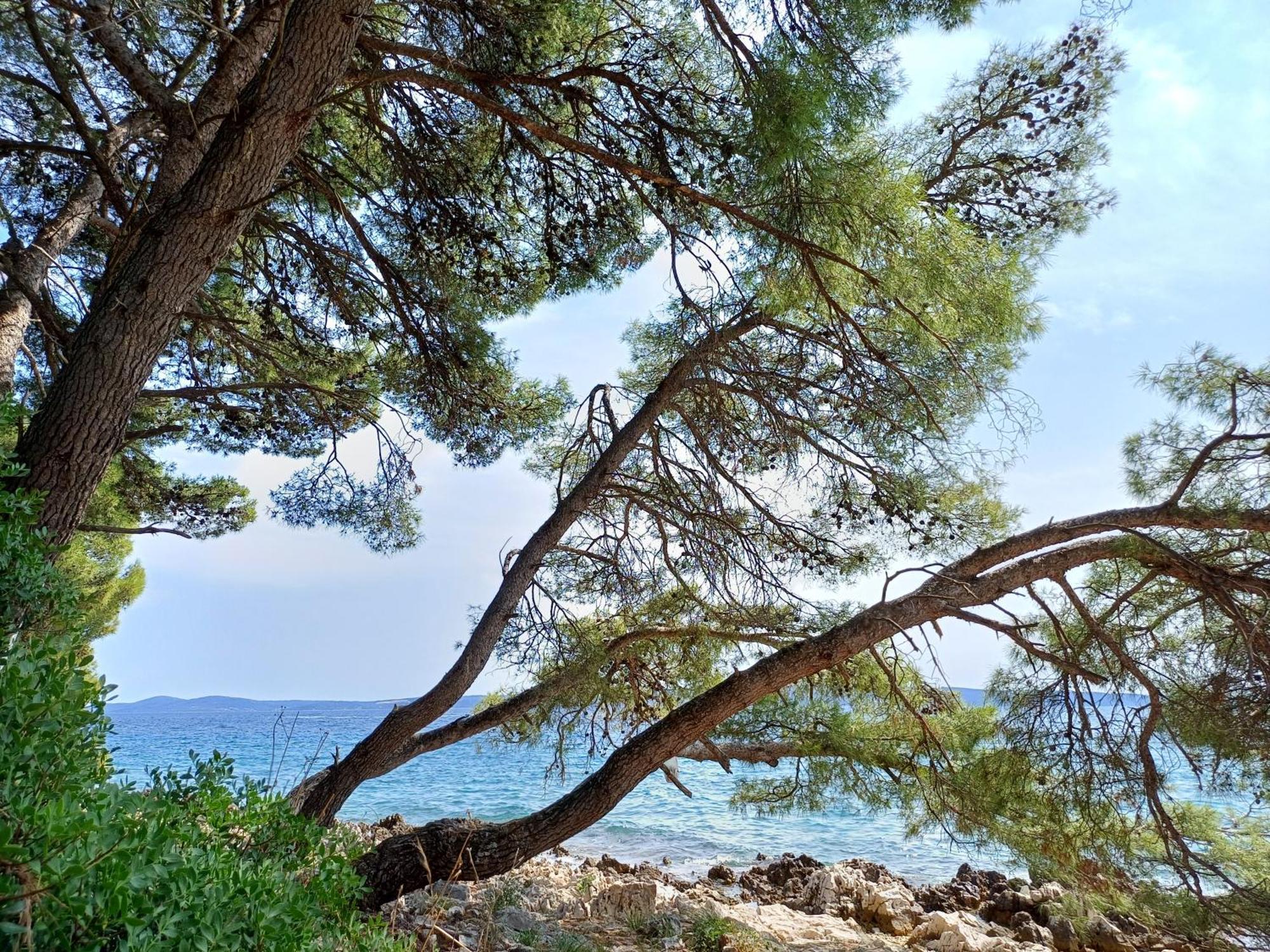 Apartments Jaksic Trogir Ngoại thất bức ảnh