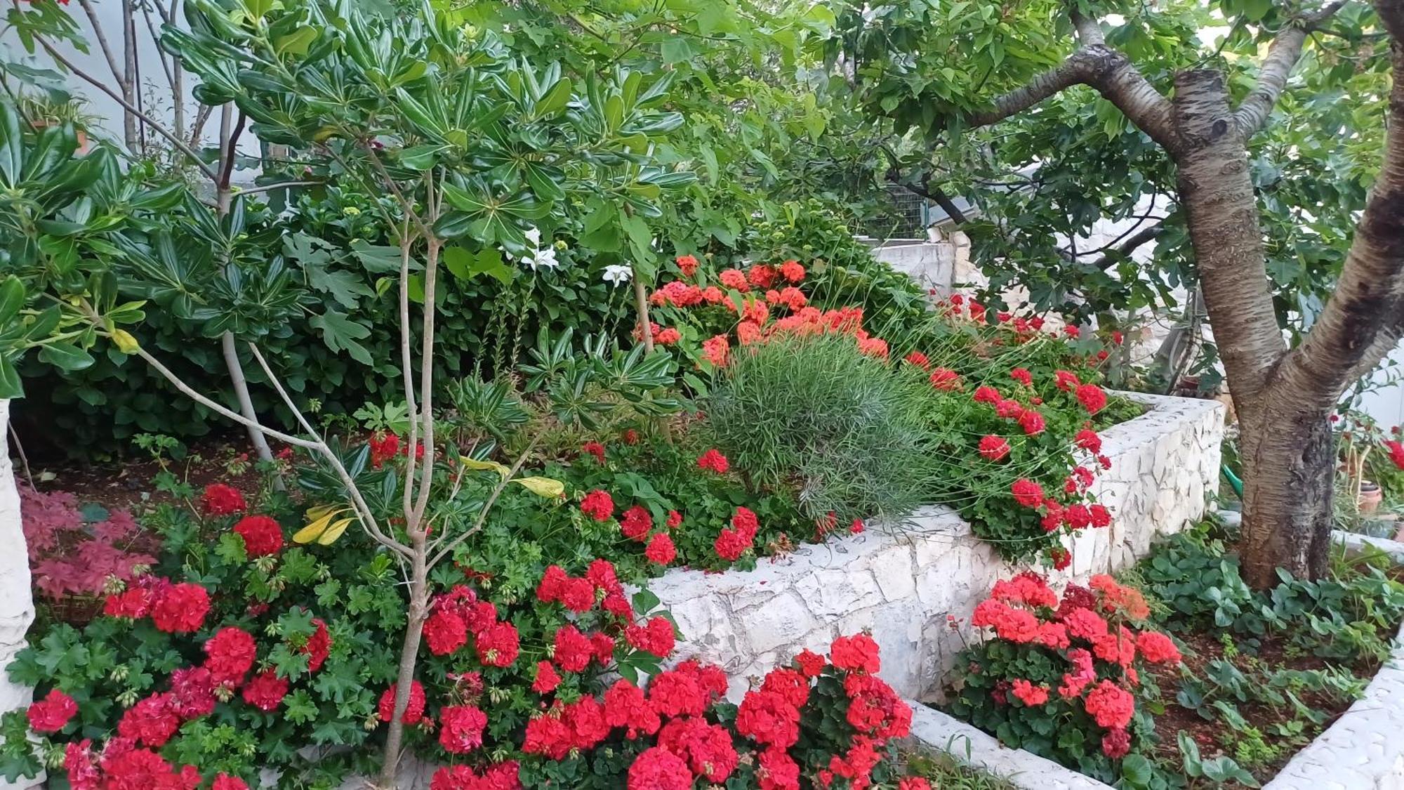 Apartments Jaksic Trogir Ngoại thất bức ảnh